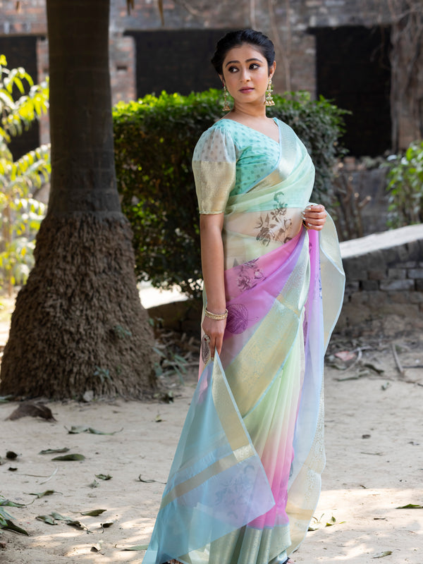 Prismatic Organza Silk Saree with Banarasi Zari Border | New Leaf Pattern