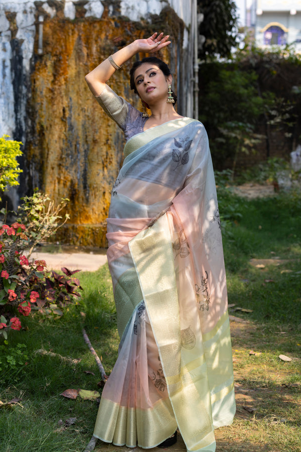 Gradient Organza Silk Saree with Banarasi Zari Border | New Leaf Pattern