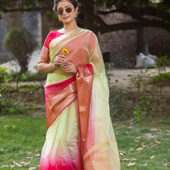 Rani Muted Green Banarasi Woven Soft Organza Skirt Border Saree