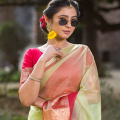 Rani Muted Green Banarasi Woven Soft Organza Skirt Border Saree
