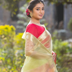 Rani Muted Green Banarasi Woven Soft Organza Skirt Border Saree