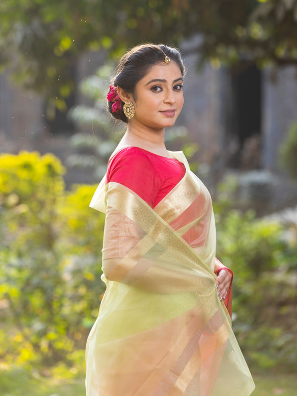 Rani Muted Green Banarasi Woven Soft Organza Skirt Border Saree