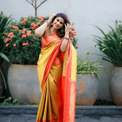 Captivating Banarasi Woven Tanchoi Mix Soft Silk Saree