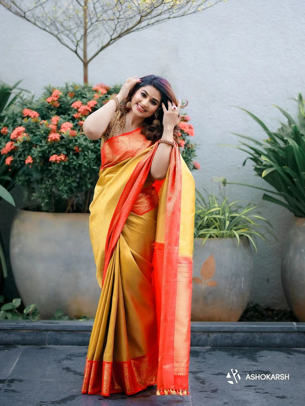 Captivating Banarasi Woven Tanchoi Mix Soft Silk Saree