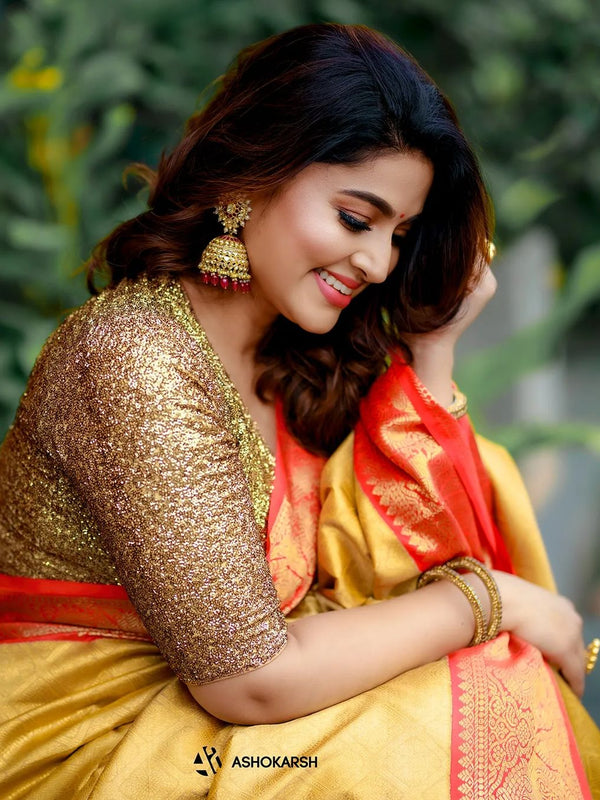 Captivating Banarasi Woven Tanchoi Mix Soft Silk Saree