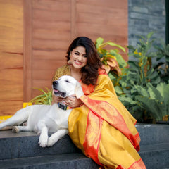 Captivating Banarasi Woven Tanchoi Mix Soft Silk Saree