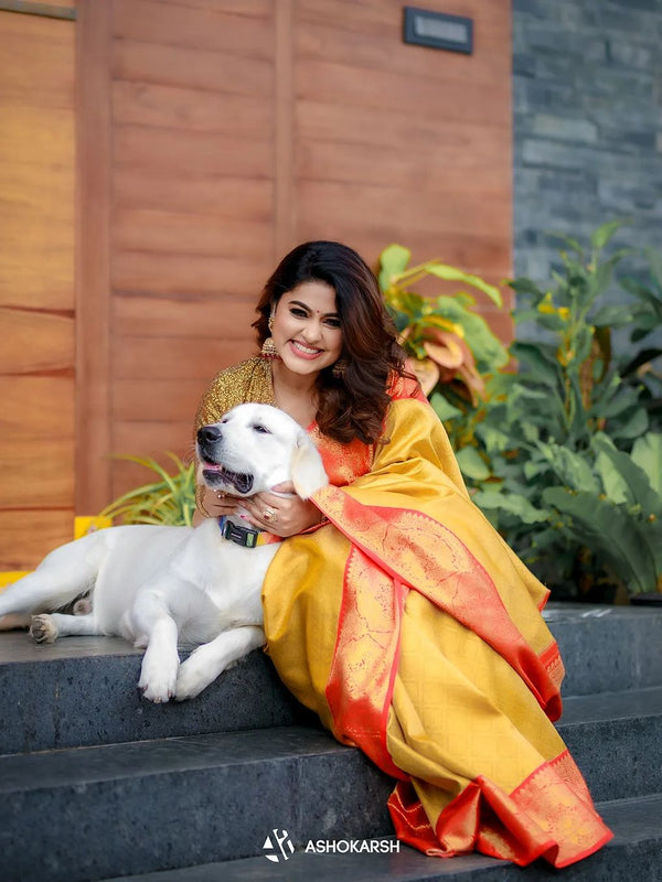 Captivating Banarasi Woven Tanchoi Mix Soft Silk Saree