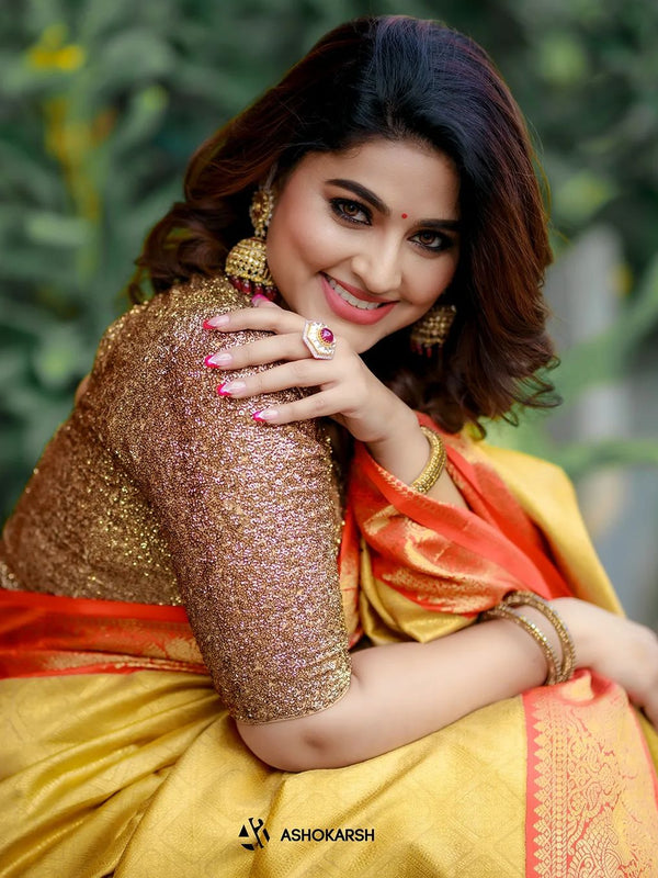 Captivating Banarasi Woven Tanchoi Mix Soft Silk Saree