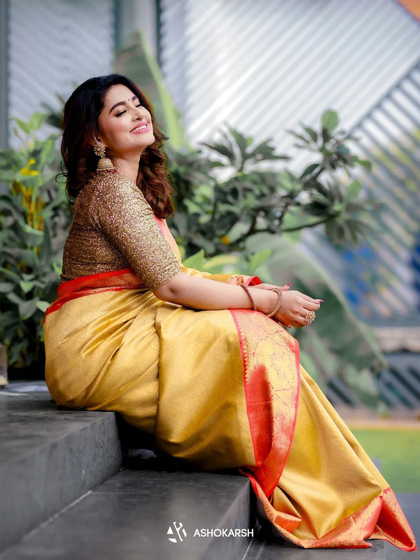 Captivating Banarasi Woven Tanchoi Mix Soft Silk Saree