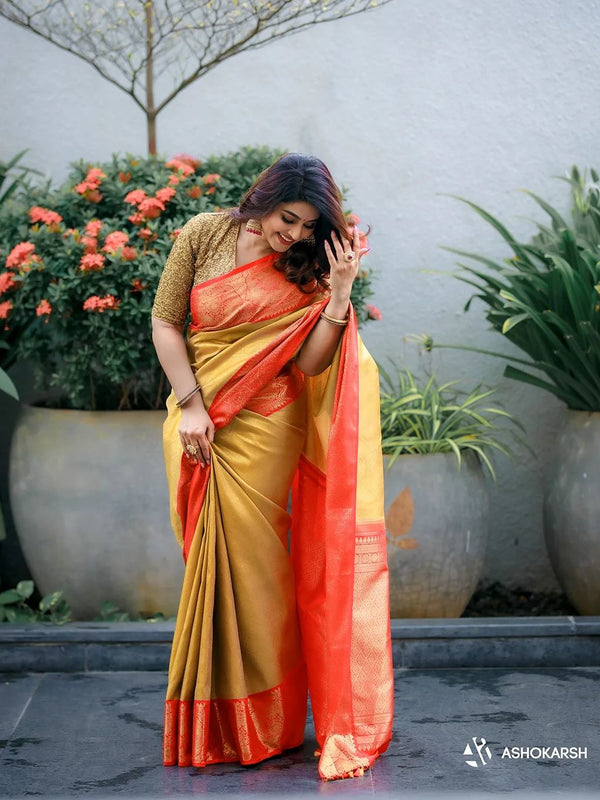 Captivating Banarasi Woven Tanchoi Mix Soft Silk Saree
